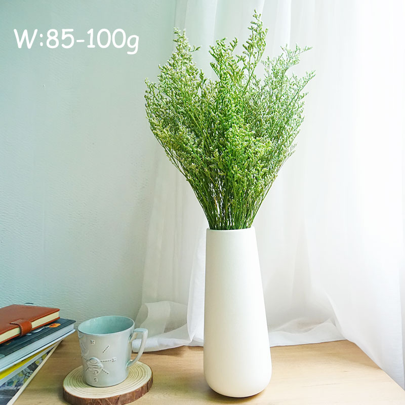 70g/Flor de Limonium Preservad - Dried Flower Bulk reseña y precio