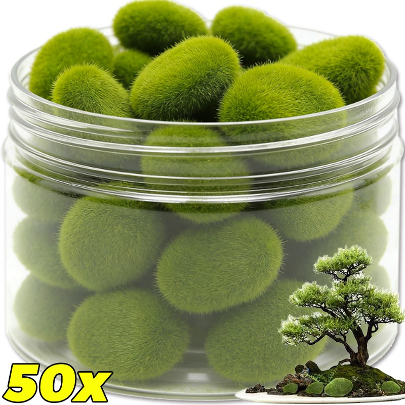 50/5 Piezas de Rocas de Musgo  - Terrarium Moss Art reseña y precio